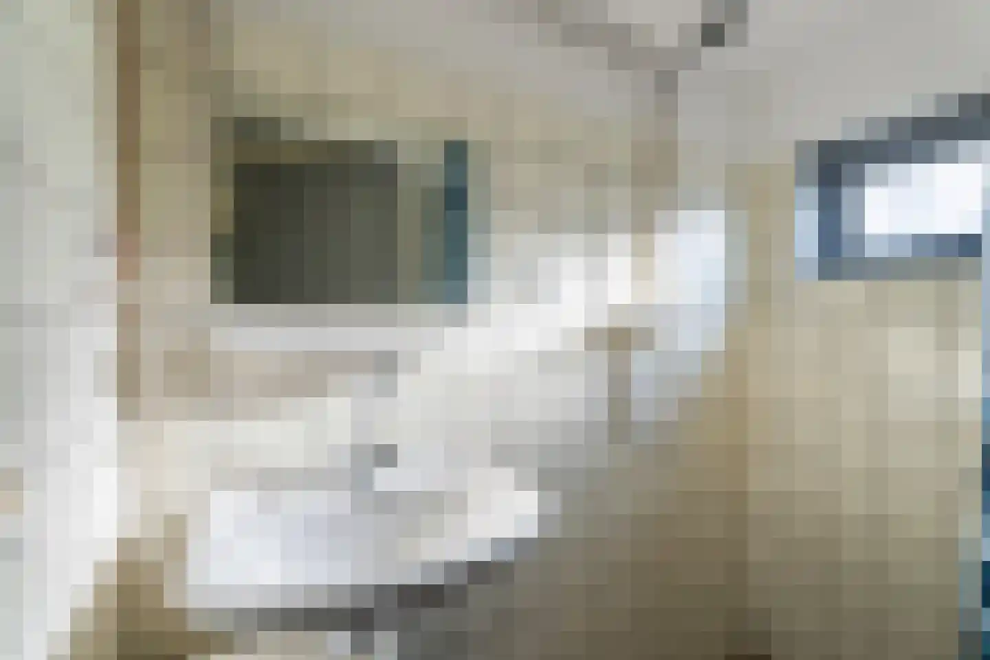Leeweg 4 Berkel en Rodenrijs thumbnail 8