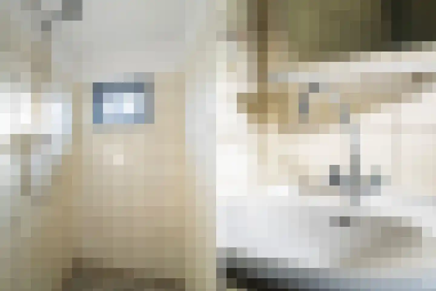 Leeweg 4 Berkel en Rodenrijs thumbnail 9