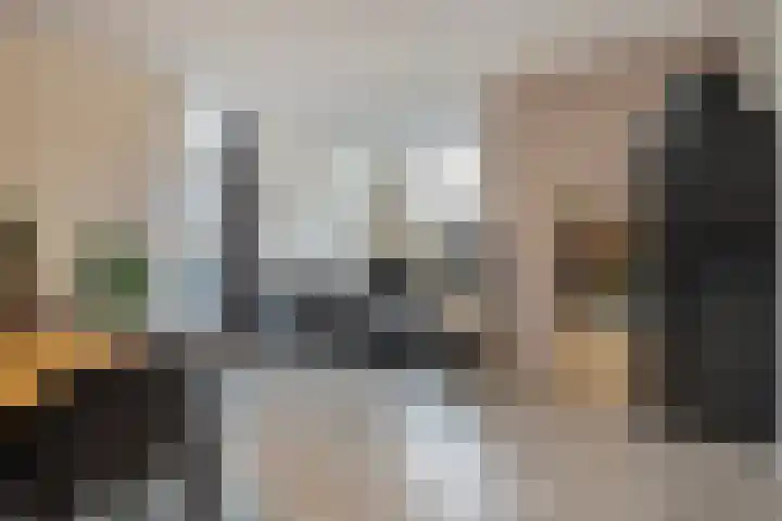 Lefershoek 7 Den Ham thumbnail 12