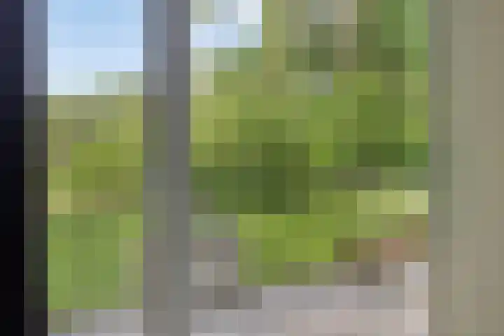 Lefertweg 135 Enschede thumbnail 22