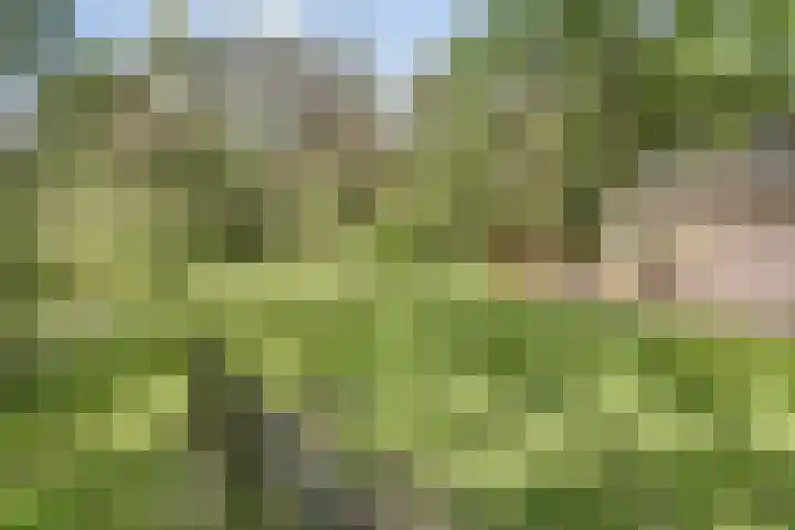 Lefertweg 135 Enschede thumbnail 27