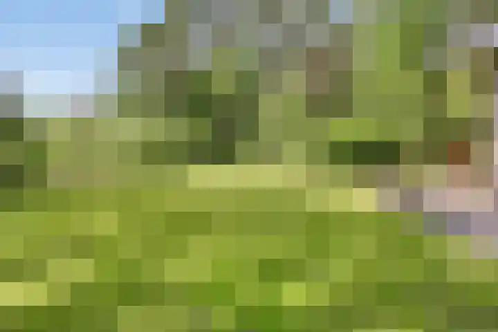 Lefertweg 135 Enschede thumbnail 28