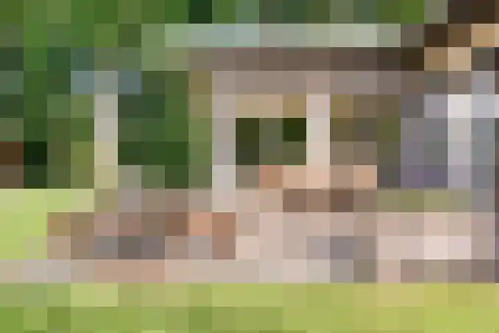 Lefertweg 135 Enschede thumbnail 29