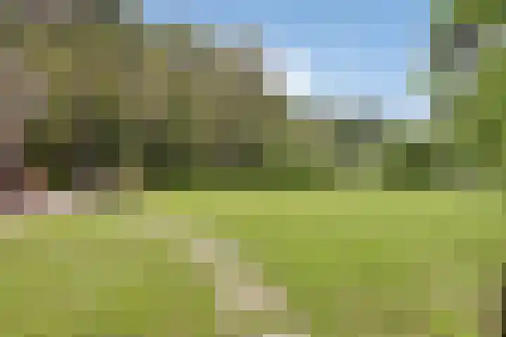 Lefertweg 135 Enschede thumbnail 31