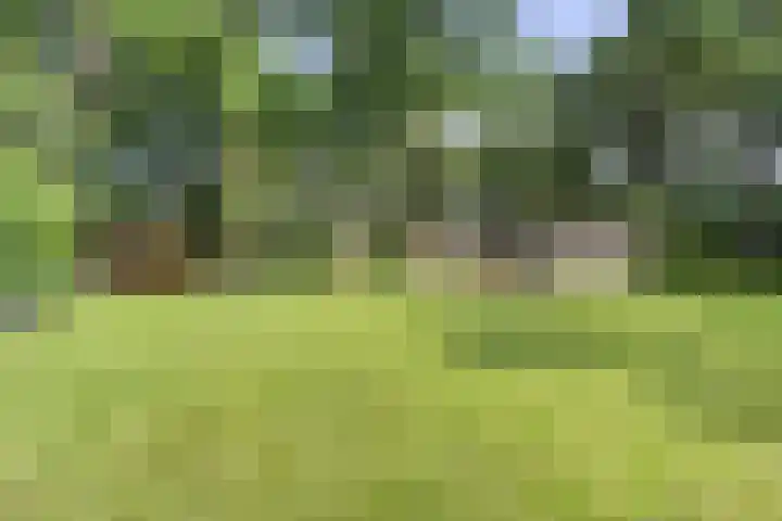 Lefertweg 135 Enschede thumbnail 35