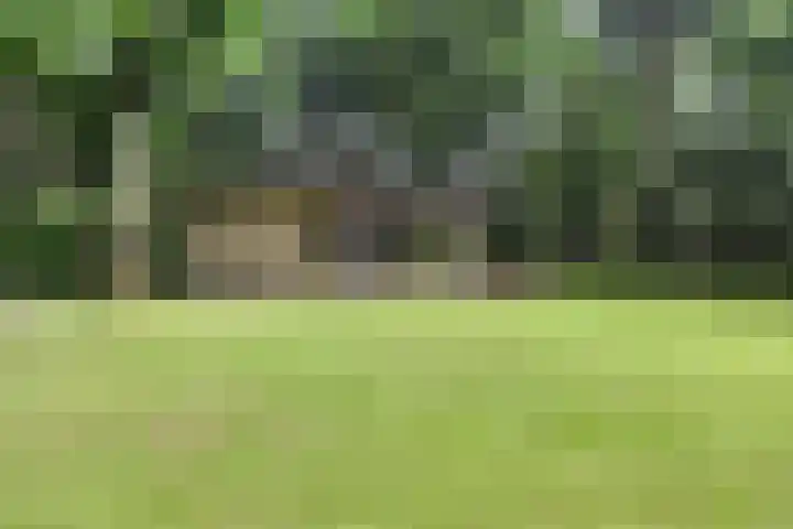 Lefertweg 135 Enschede thumbnail 36