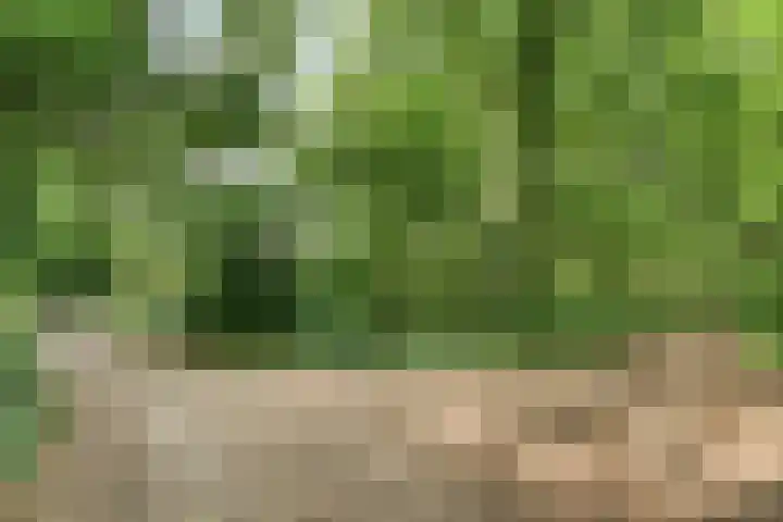 Lefertweg 135 Enschede thumbnail 37