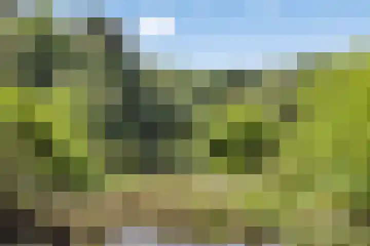 Lefertweg 135 Enschede thumbnail 38