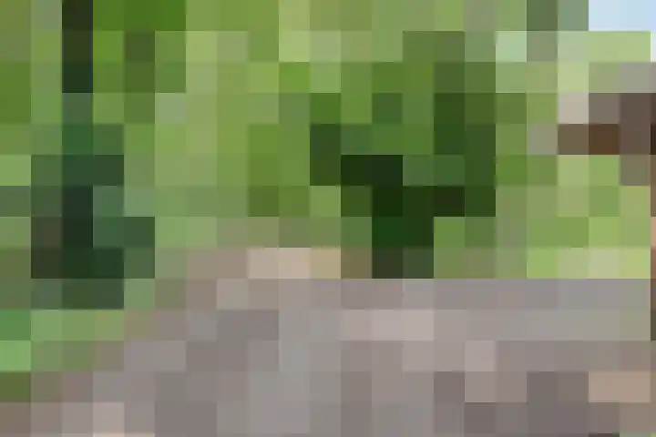 Lefertweg 135 Enschede thumbnail 4