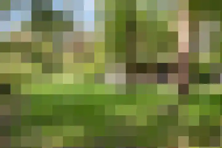 Lefertweg 135 Enschede thumbnail 6