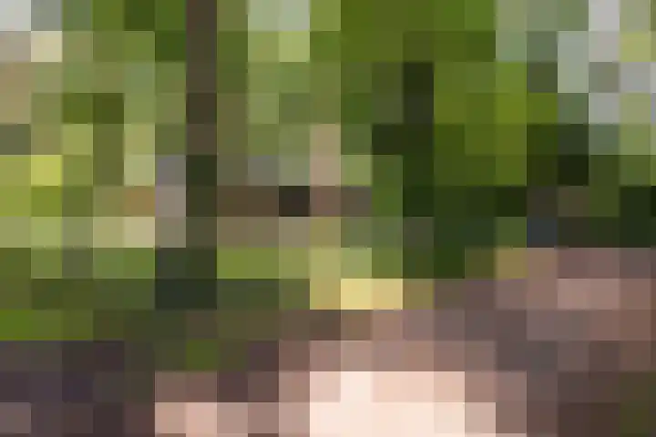Lefertweg 135 Enschede thumbnail 7