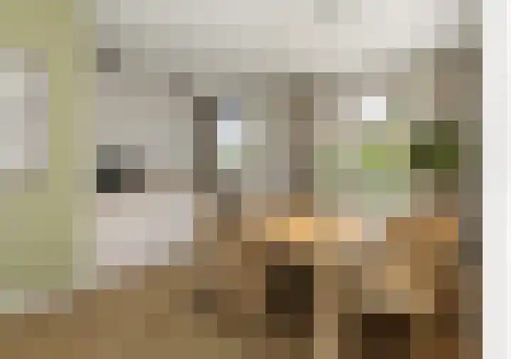 Legakker 21 Meppel thumbnail 4