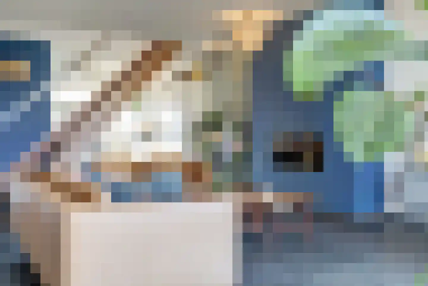 Legakker 3 Ederveen thumbnail 11