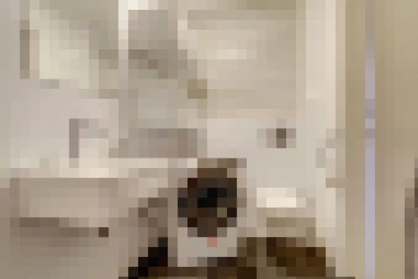 Legakker 3 Ederveen thumbnail 20