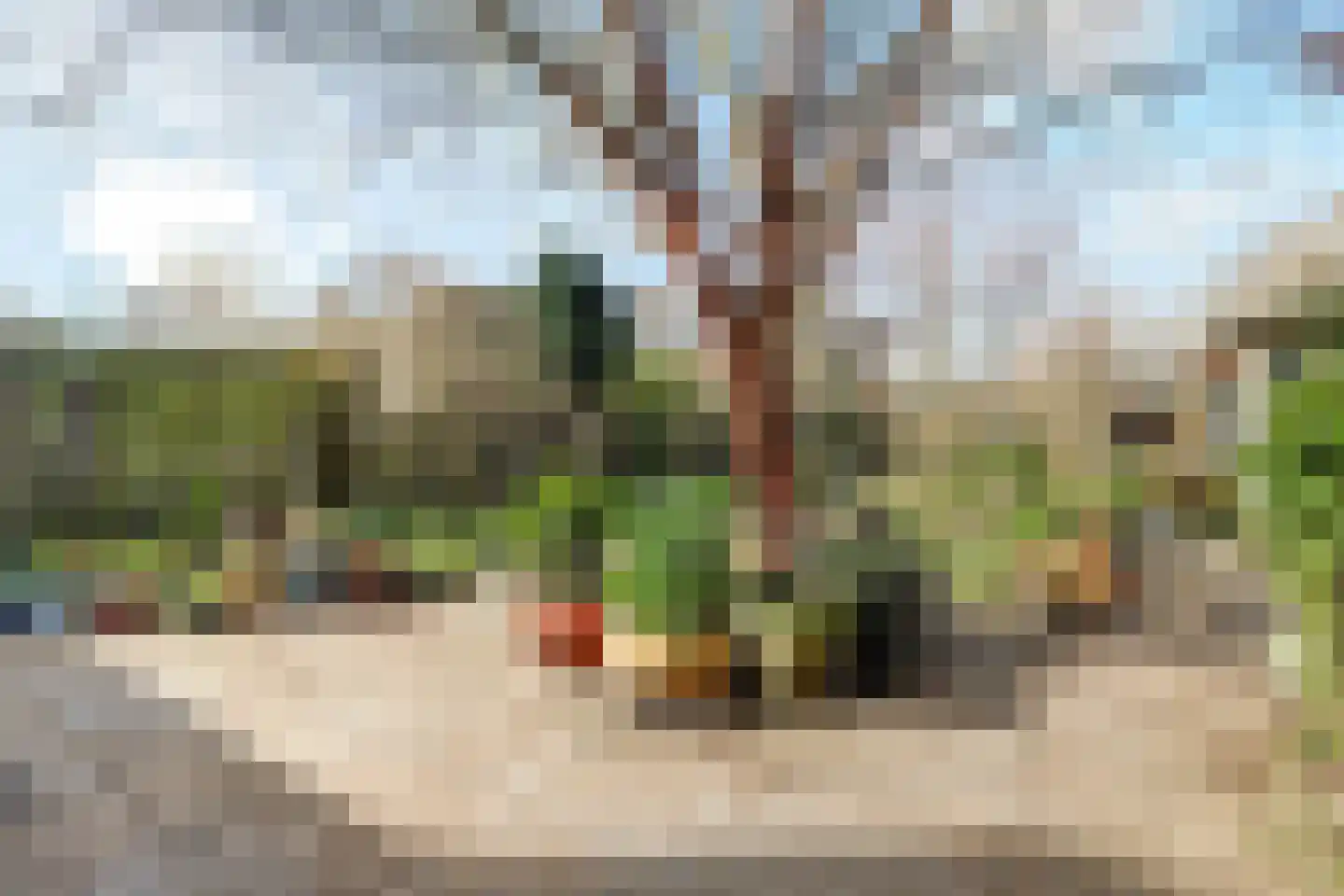 Legakker 3 Ederveen thumbnail 30
