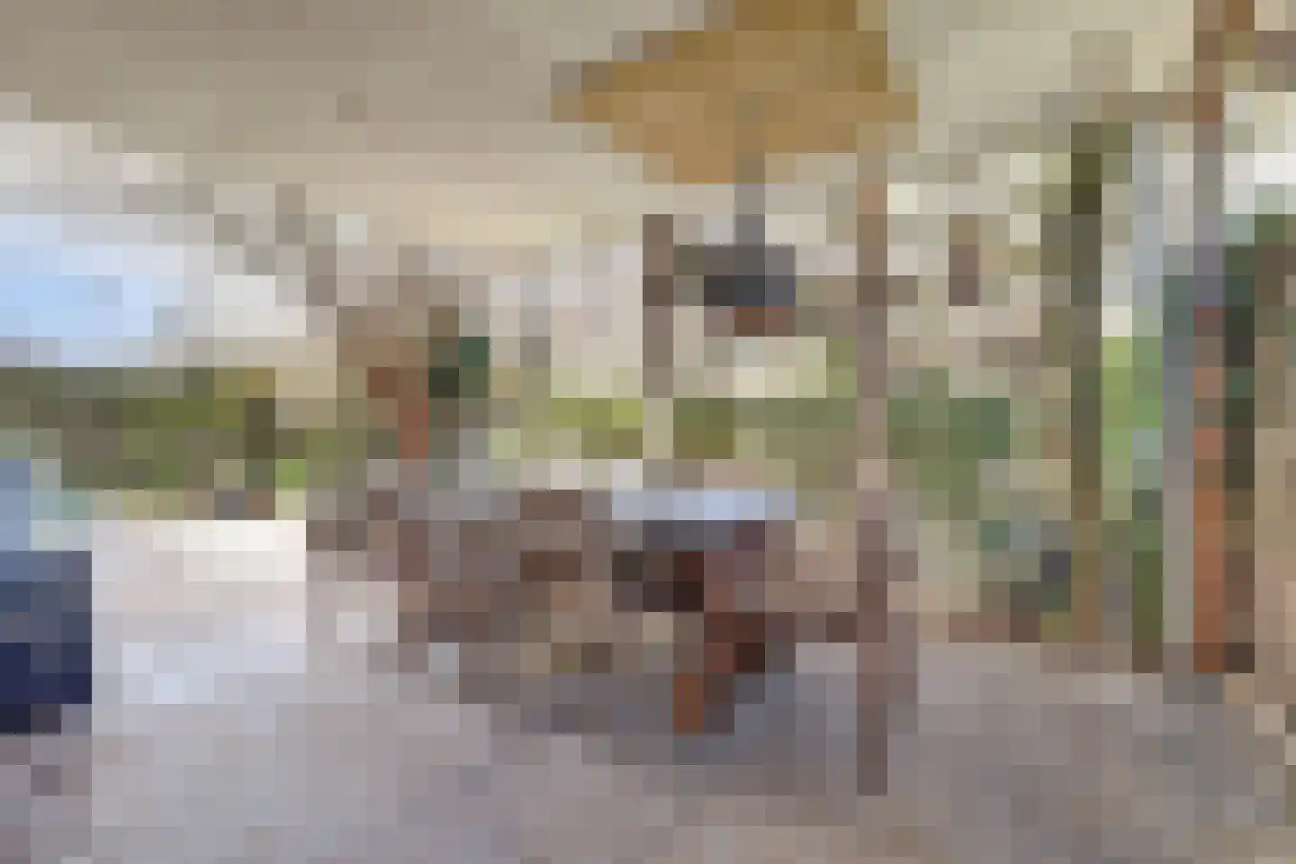 Legakker 3 Ederveen thumbnail 31
