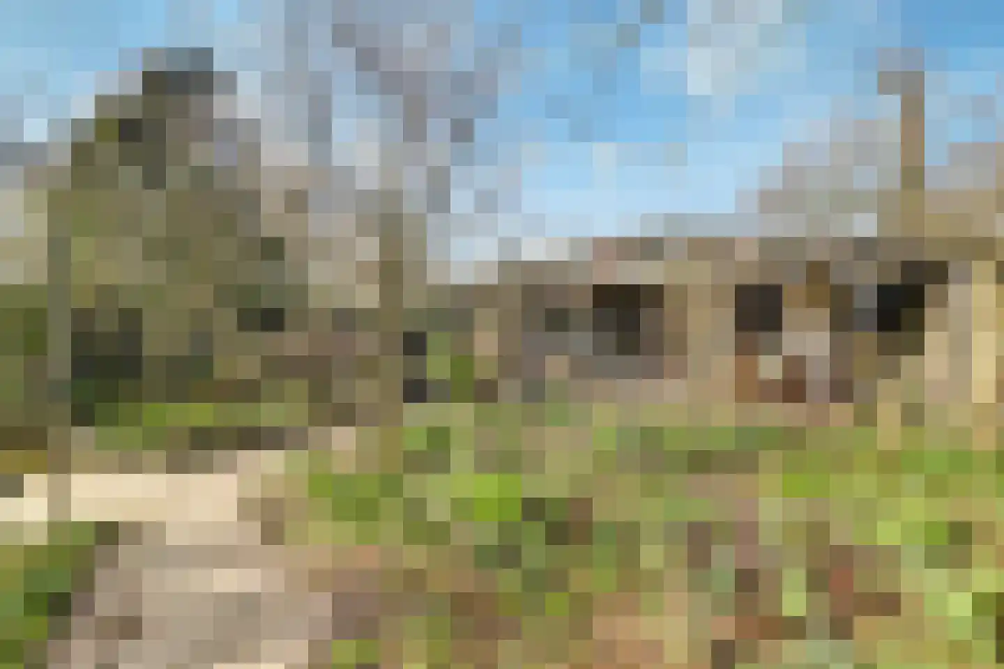Legakker 3 Ederveen thumbnail 35