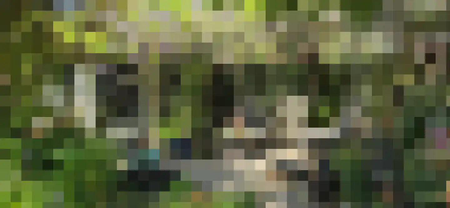 Legakker 3 Ederveen thumbnail 41
