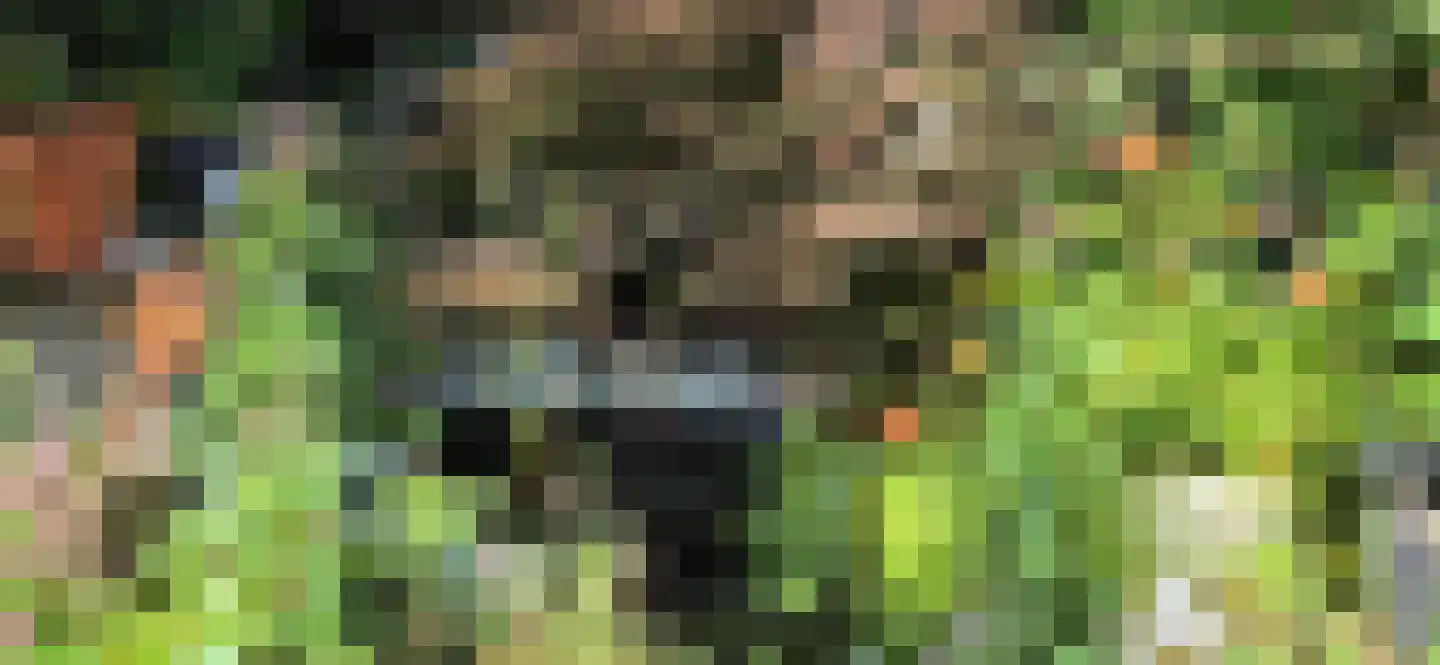 Legakker 3 Ederveen thumbnail 42