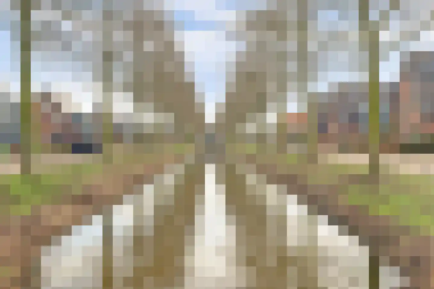 Legakker 3 Ederveen thumbnail 44