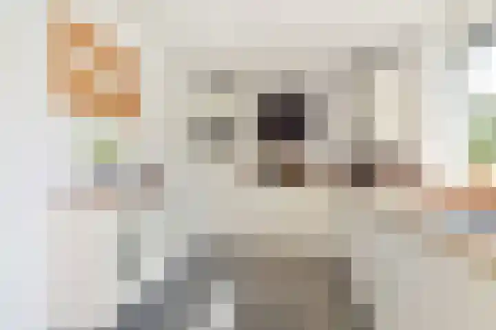 Legakker 35 Nootdorp thumbnail 17