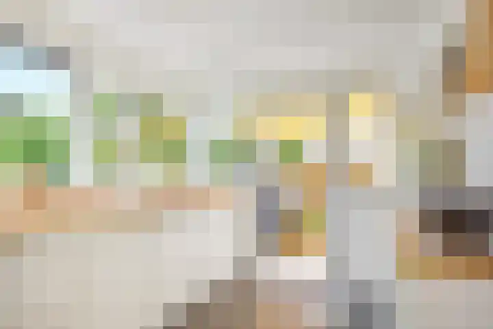 Legakker 35 Nootdorp thumbnail 21