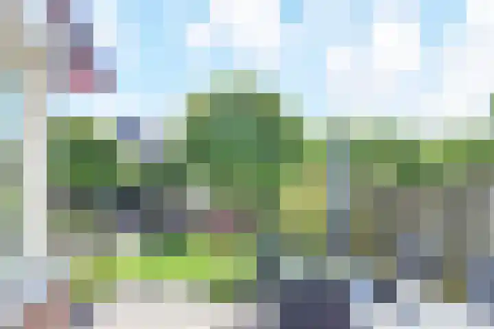Legakker 35 Nootdorp thumbnail 22