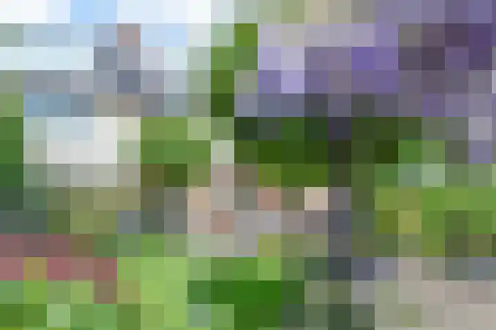 Legakker 35 Nootdorp thumbnail 26