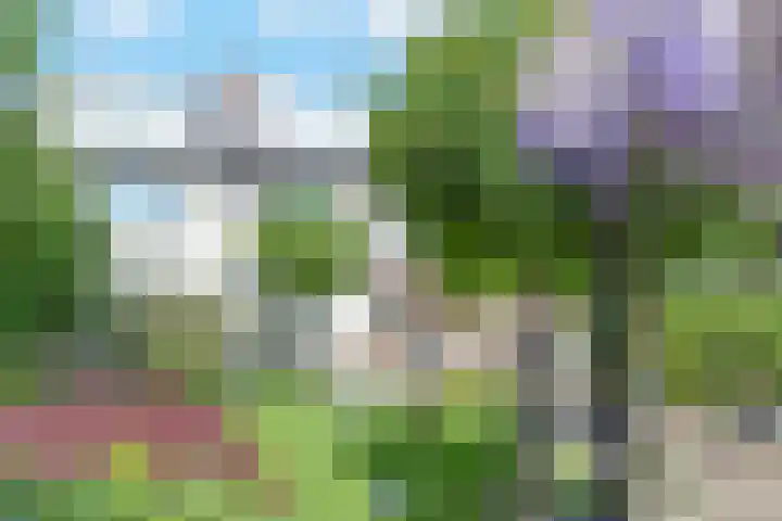Legakker 35 Nootdorp thumbnail 31