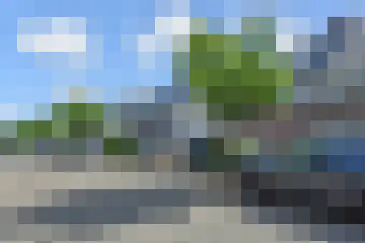 Legakker 35 Nootdorp thumbnail 59