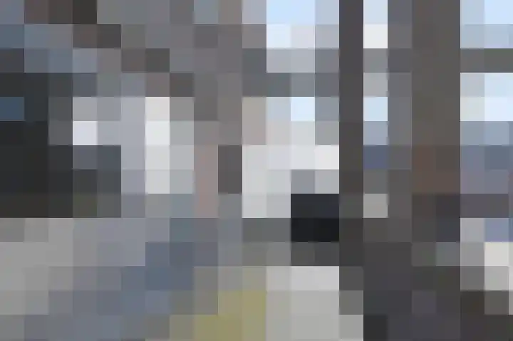 Legakker 38 Nootdorp thumbnail 17