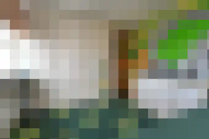 Legakker 38 Nootdorp thumbnail 27