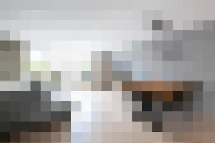 Legatostraat 7 Hellevoetsluis thumbnail 11
