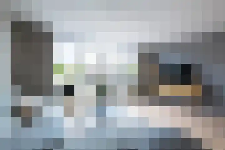 Legatostraat 7 Hellevoetsluis thumbnail 6