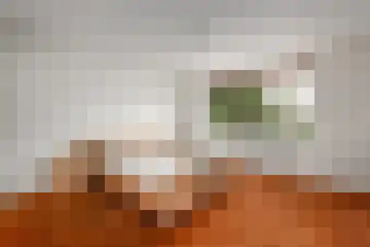 Legauke 4 Opeinde thumbnail 12