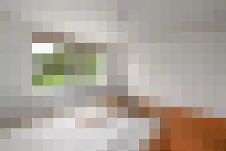 Legauke 4 Opeinde thumbnail 13