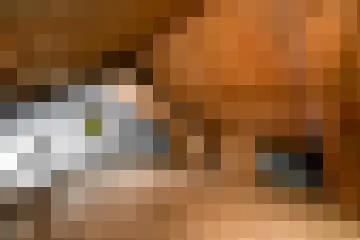 Legauke 4 Opeinde thumbnail 21
