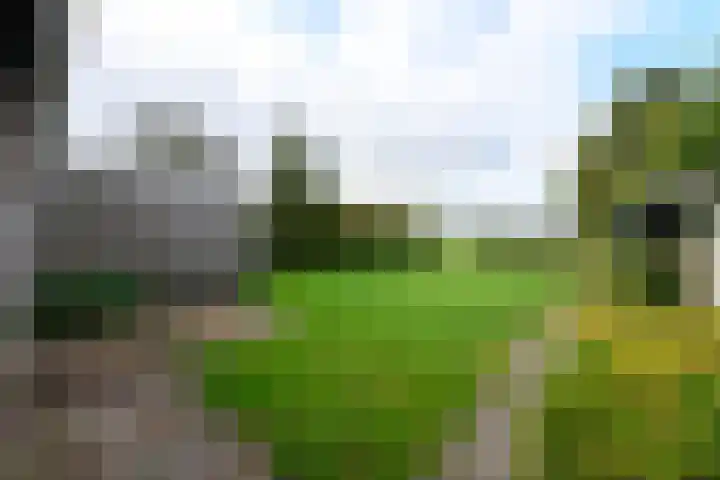 Legauke 4 Opeinde thumbnail 27