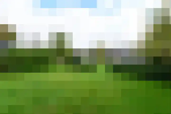 Legauke 4 Opeinde thumbnail 29