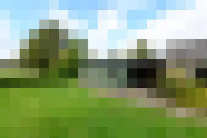 Legauke 4 Opeinde thumbnail 30