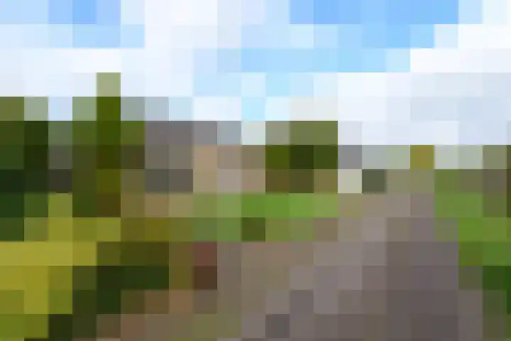 Legauke 4 Opeinde thumbnail 31