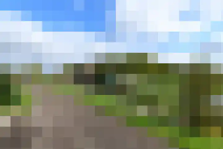 Legauke 4 Opeinde thumbnail 33