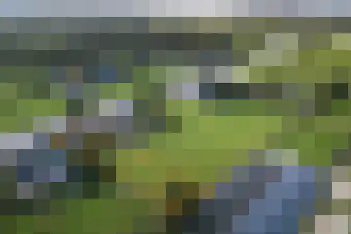 Legauke 4 Opeinde thumbnail 34