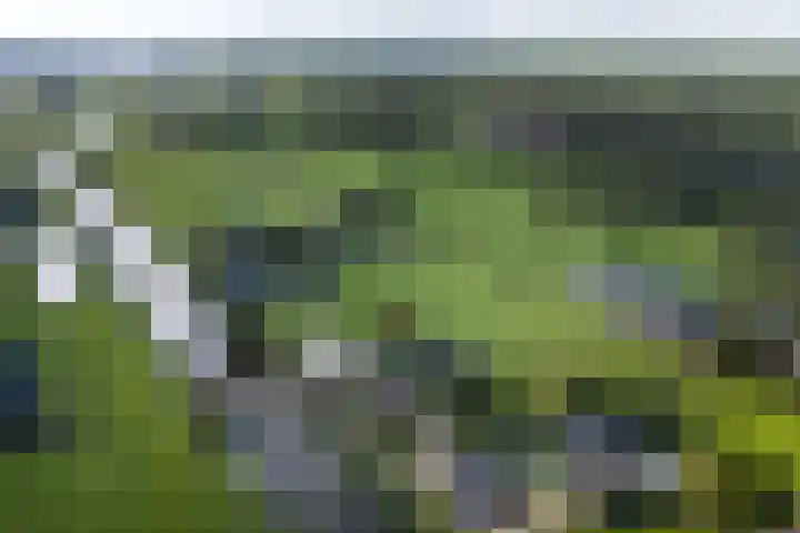Legauke 4 Opeinde thumbnail 36