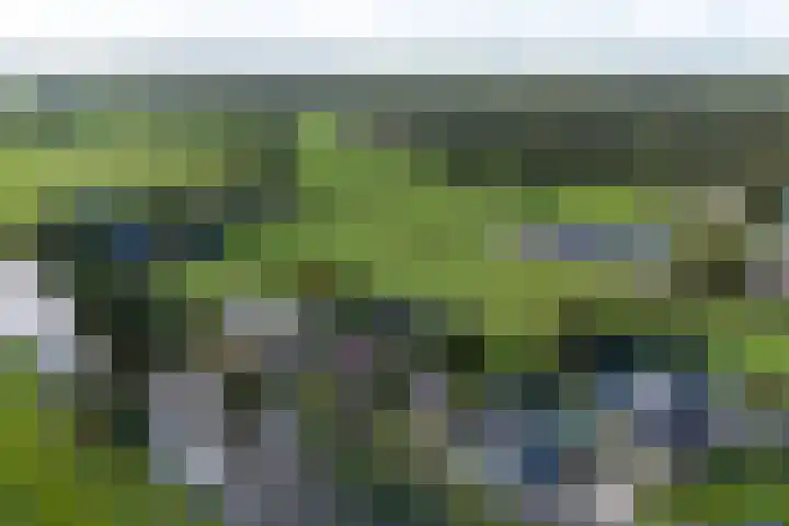 Legauke 4 Opeinde thumbnail 37