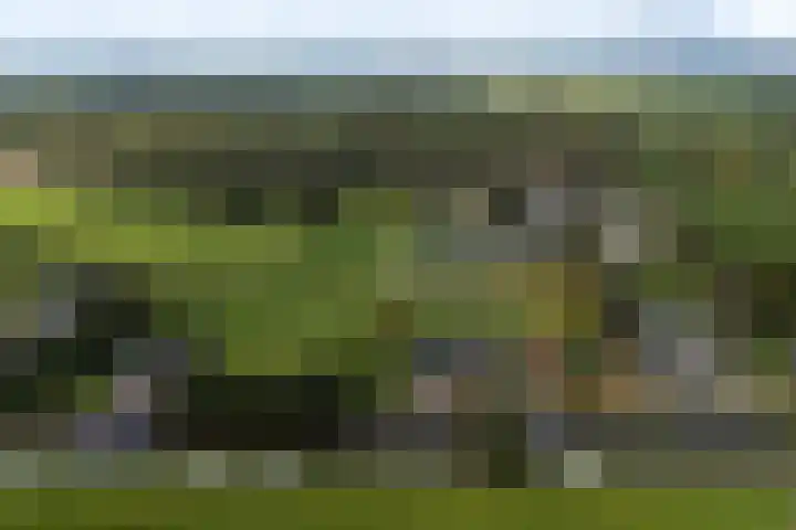 Legauke 4 Opeinde thumbnail 38