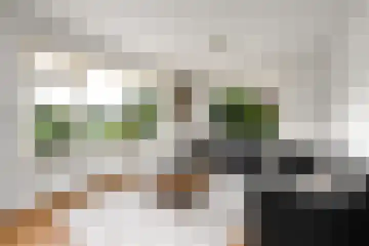 Legauke 4 Opeinde thumbnail 5