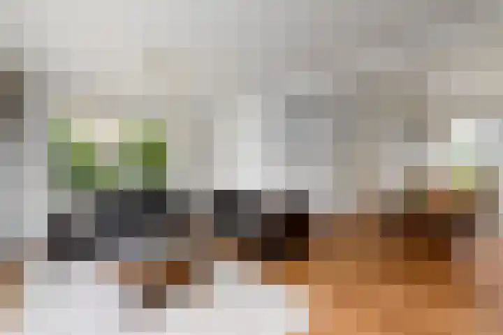 Legauke 4 Opeinde thumbnail 7