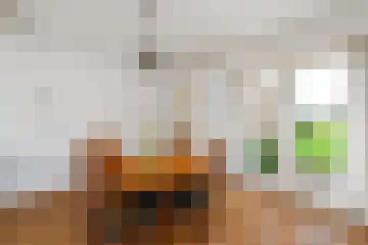 Legauke 4 Opeinde thumbnail 9