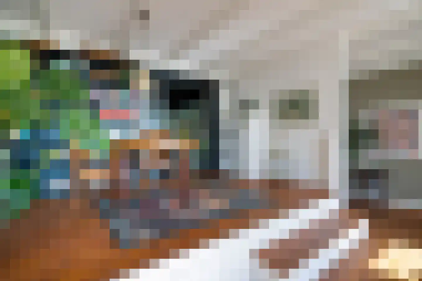 Lege Hearewei 14 Hijum thumbnail 12